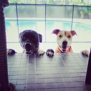 Meet your Posher, Flor